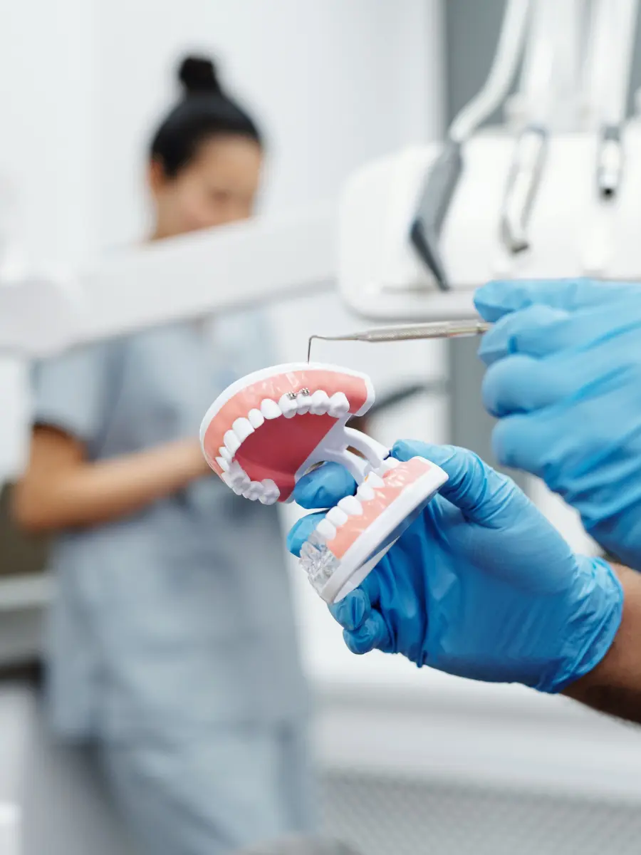 Dentist holding a dental model in the clinic